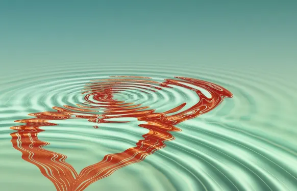 Armedbet Casinò Supporto